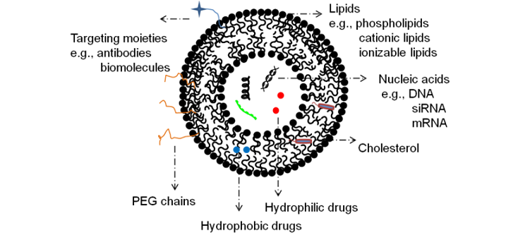 lipid nanoparticles in therapeutics delivery